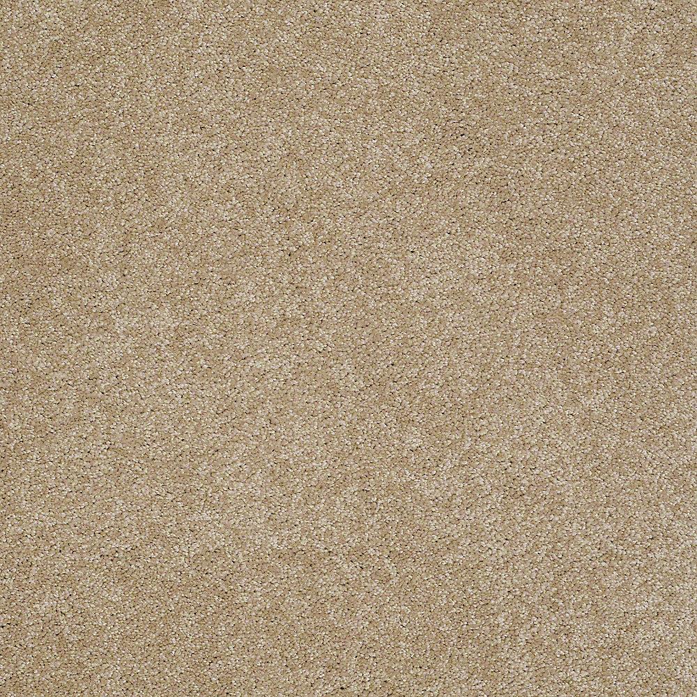 STAINMASTER PetProtect Baxter IV Boxer Textured Carpet (Indoor, 12-ft Roll Width)
