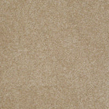 STAINMASTER PetProtect Baxter IV Boxer Textured Carpet (Indoor, 12-ft Roll Width)