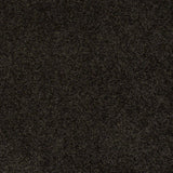 STAINMASTER PetProtect Baxter II Bear Textured Carpet (Indoor), 12-ft Roll Width