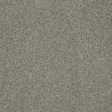 STAINMASTER PetProtect Baxter II Bentley Textured Indoor Carpet, 12-ft Roll Width