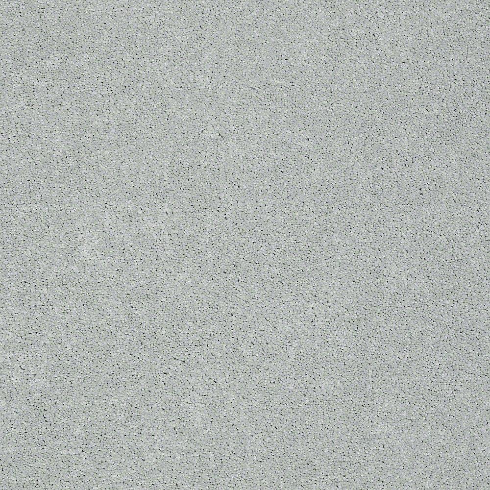 STAINMASTER PetProtect Baxter III Rex Textured Indoor Carpet, 12-ft Roll Width
