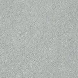 STAINMASTER PetProtect Baxter III Rex Textured Indoor Carpet, 12-ft Roll Width