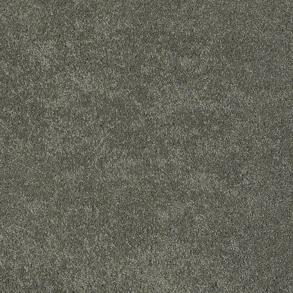 STAINMASTER PetProtect Baxter II Winston Textured Carpet (Indoor)