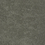 STAINMASTER PetProtect Baxter I Winston Textured Carpet (Indoor) - 12-ft Roll Width