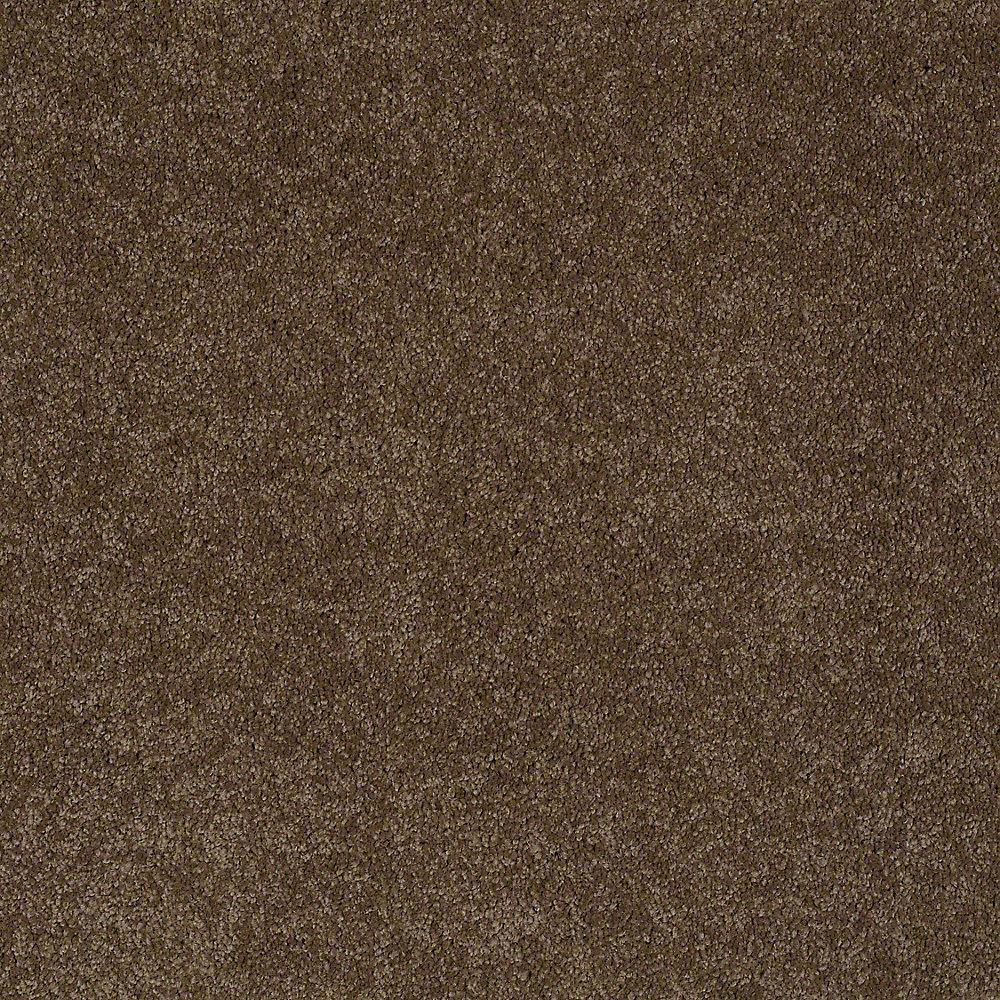 STAINMASTER PetProtect Baxter II Labrador Textured Carpet (Indoor) - 12-ft Roll Width