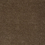 STAINMASTER PetProtect Baxter II Labrador Textured Carpet (Indoor) - 12-ft Roll Width
