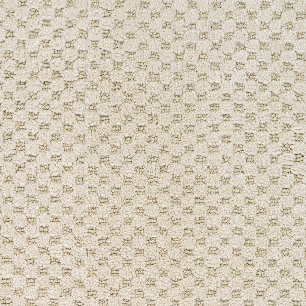 STAINMASTER PetProtect Natural Essence Hyde Park Pattern Carpet Sample, 8-in x 8-in (Interior)
