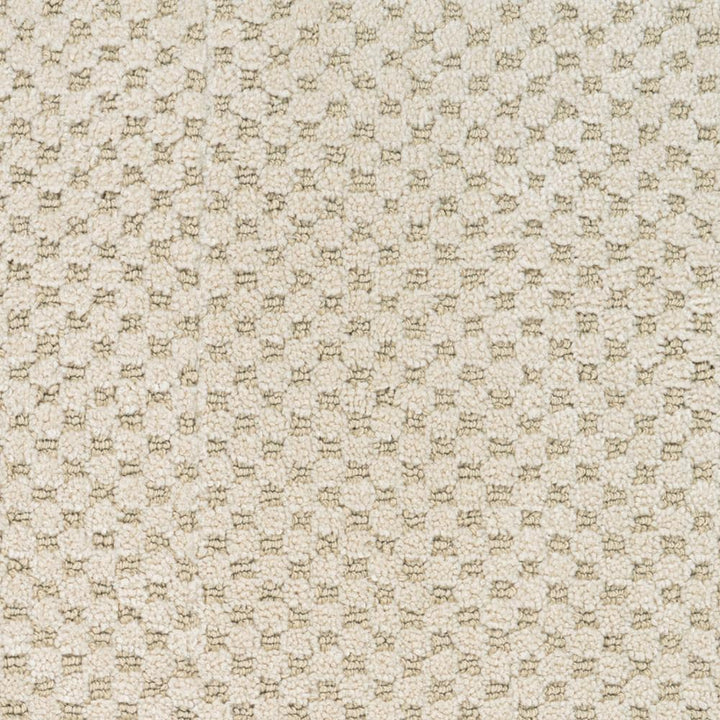 STAINMASTER PetProtect Natural Essence Hyde Park Pattern Carpet Sample, 8-in x 8-in (Interior)