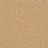 042369071284xl_667257337.jpg
