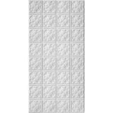 Armstrong Ceilings 48-in x 24-in Metallaire Vine Chrome Metal/Tin Surface-Mount Panel Ceiling Tiles - Super Arbor