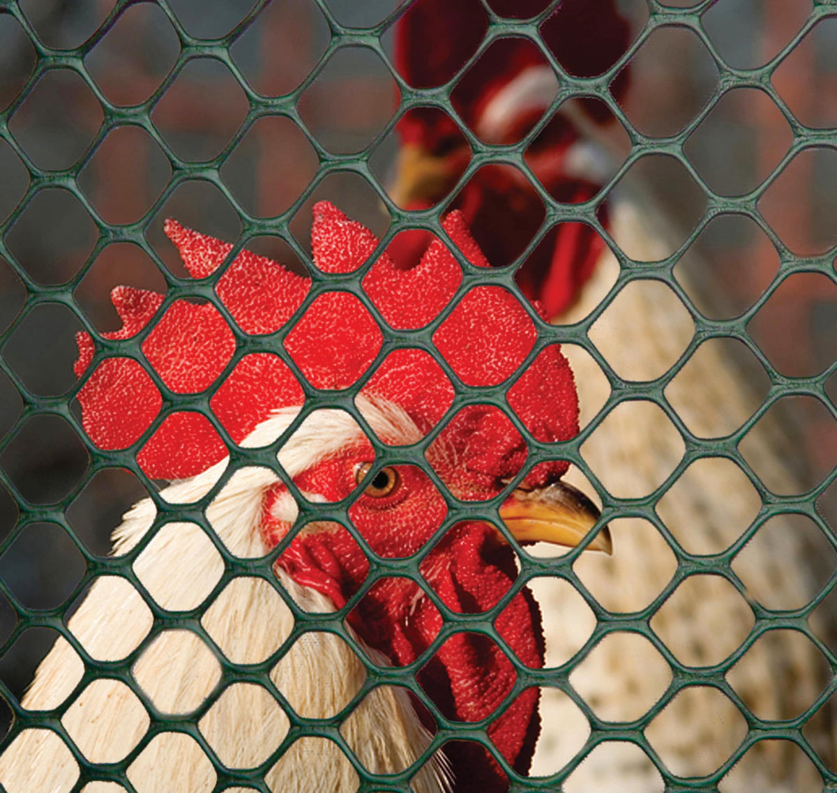 Tenax 25-ft x 3-ft Green Hdpe Extruded Mesh Rolled Fencing with Mesh Size 1/4-in x 1/4-in