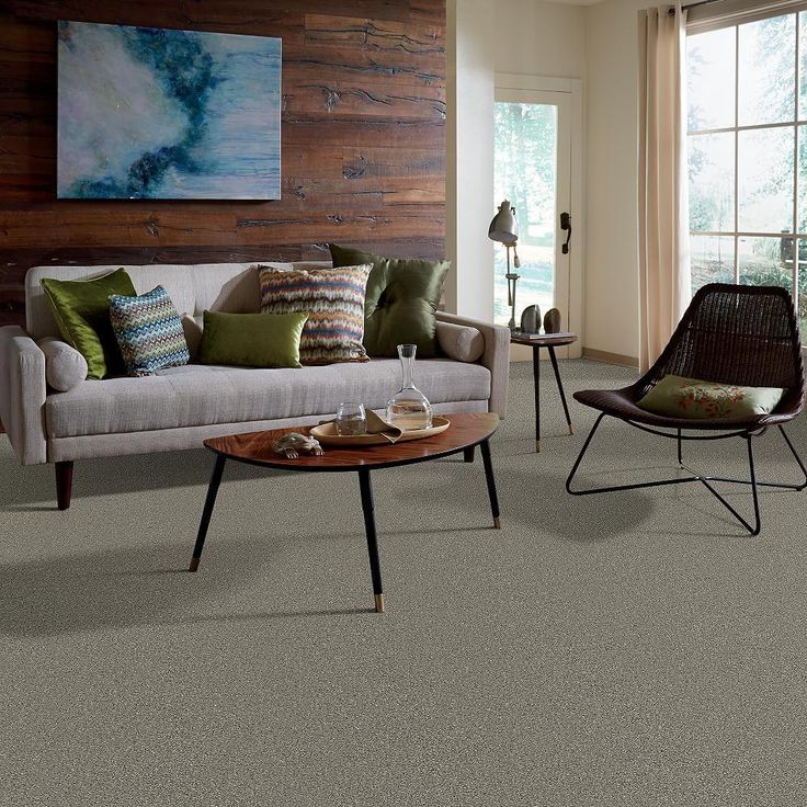 STAINMASTER PetProtect Baxter II Bentley Textured Carpet (Indoor)