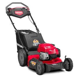 CRAFTSMAN M310 163-cc 21-in Self-Propelled Gas Push Lawn Mower with Briggs & Stratton Engine - Super Arbor