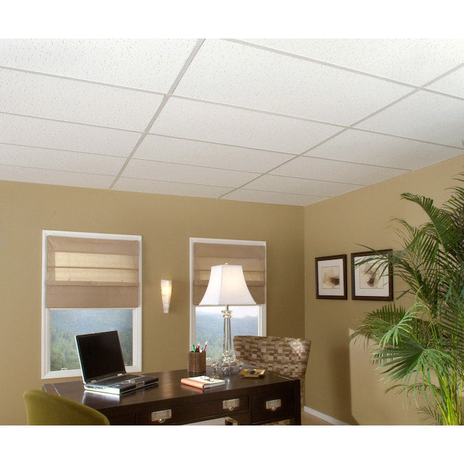 USG Ceilings 4-ft x 2-ft White Mineral Fiber Drop Ceiling Plank (8-Pack, 64-sq ft / Case)