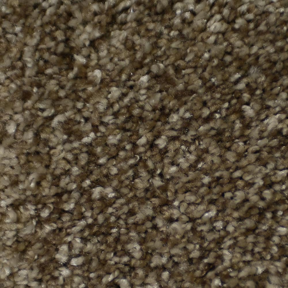 STAINMASTER Signature Cinema Montage Textured Carpet Sample (Interior)