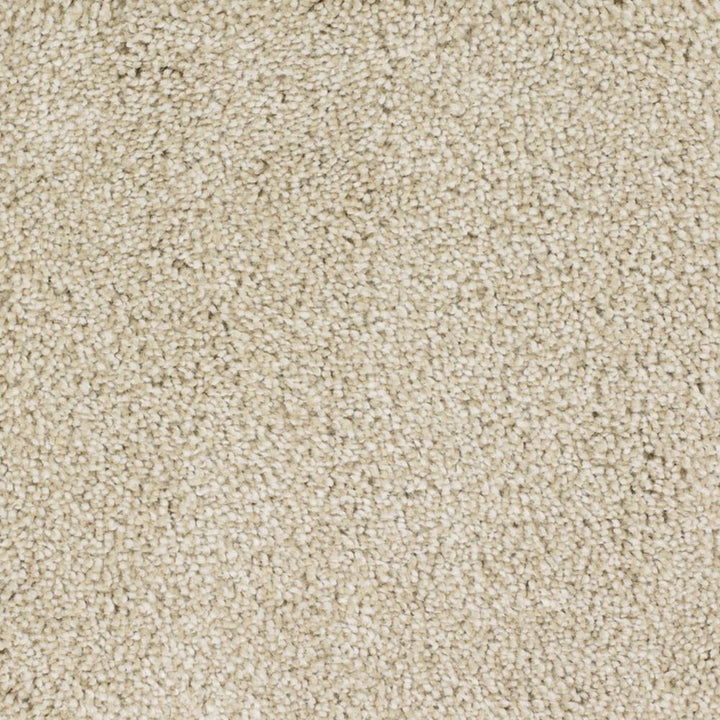 STAINMASTER Signature Shafer Valley Bamboo Textured Carpet (Indoor)