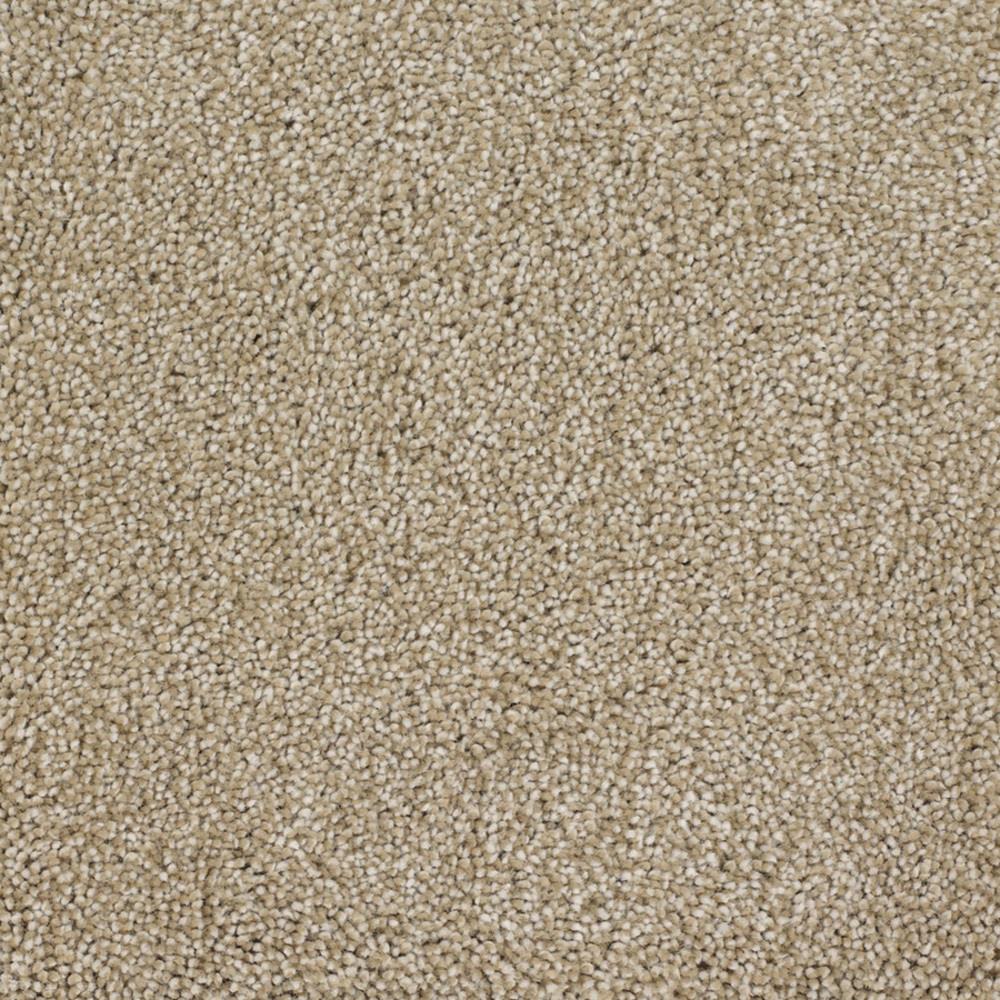 STAINMASTER Signature Briar Patch Avalon Textured Indoor Carpet, 12-ft Roll Width, 46-oz Face Weight