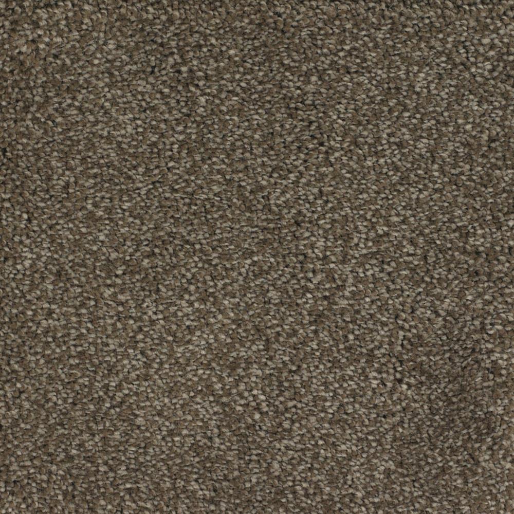 STAINMASTER Signature Briar Patch Smooth Stone Textured Carpet Sample (Interior)