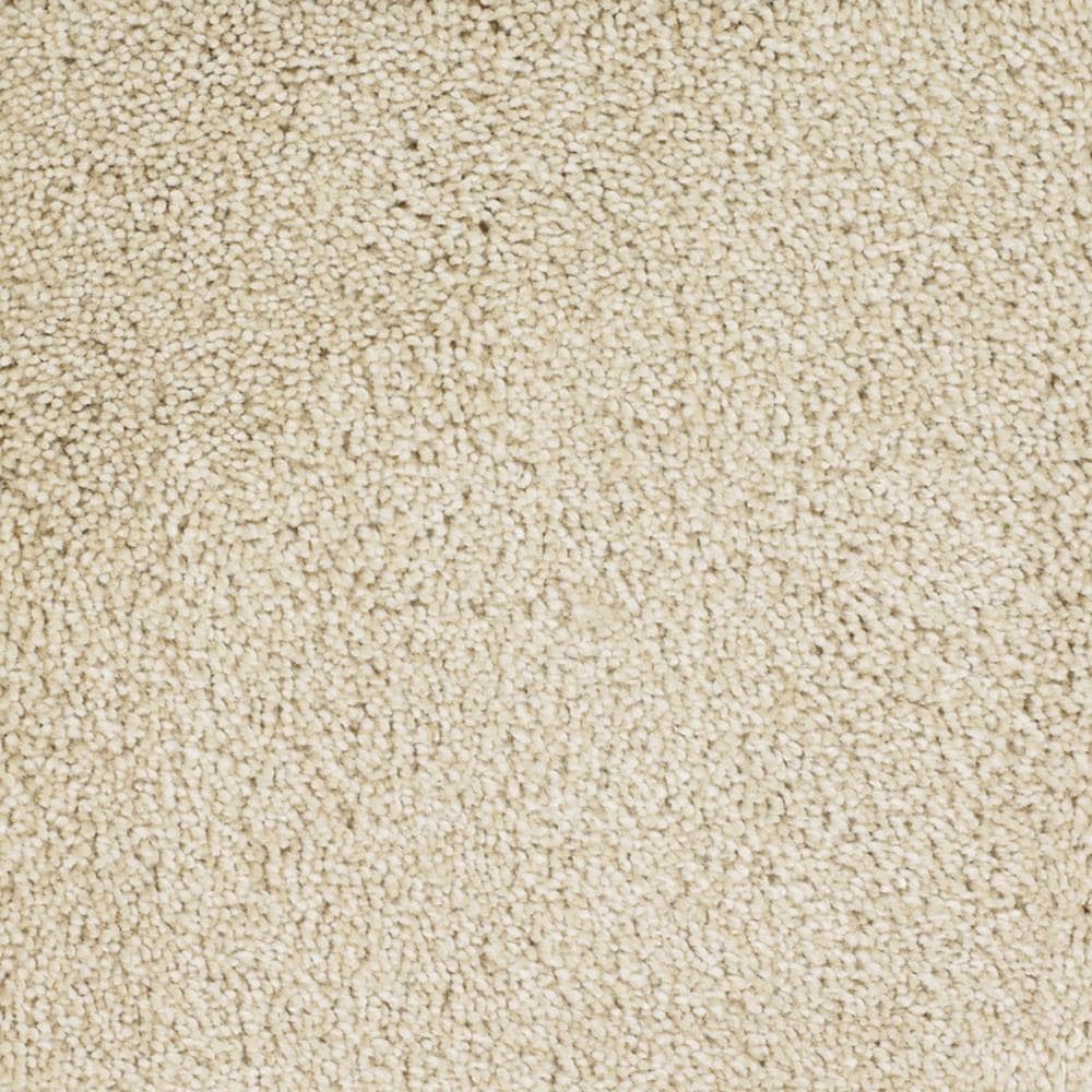 STAINMASTER Signature Pleasant Point Tranquil Textured Carpet Sample, 8-in x 8-in (Indoor)