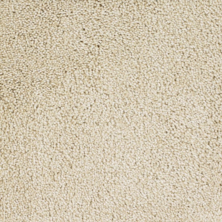 STAINMASTER Signature Pleasant Point Tranquil Textured Carpet Sample, 8-in x 8-in (Indoor)