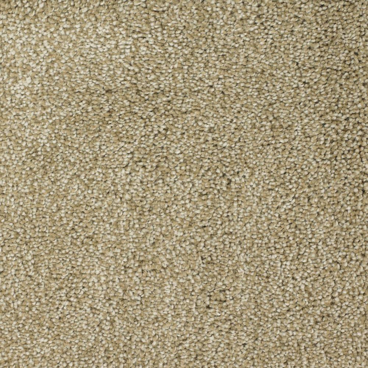 STAINMASTER Signature Pleasant Point Weathered Textured Carpet Sample, 8-in x 8-in (Interior)