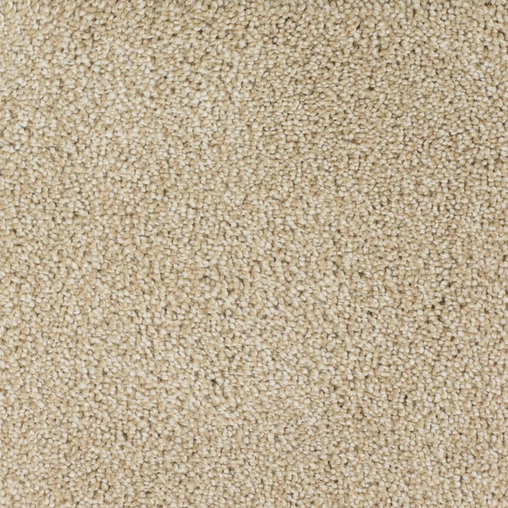 STAINMASTER Signature Briar Patch Canvas Textured Indoor Carpet, 12-ft Roll Width, 46-oz Face Weight