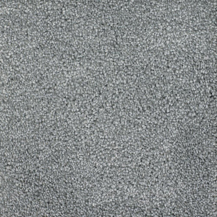 STAINMASTER Signature Briar Patch Weathered Textured Carpet Sample (Interior)