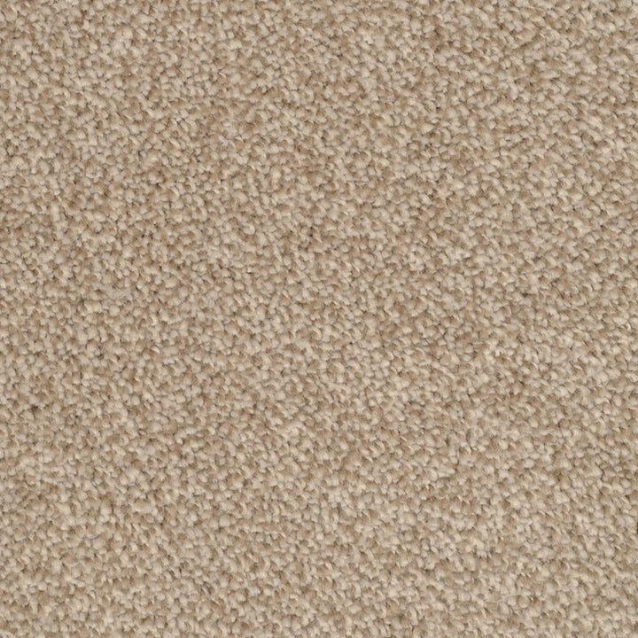 STAINMASTER Signature Shafer Valley Reverse Textured Carpet Sample, 8-in x 8-in (Interior)