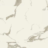 MS International Sierra Marcatta 18" x 36" Floating Luxury Vinyl Tile Flooring (26.98 sq ft/ctn)