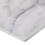 Satori Bianco Glacier 12-in x 24-in Polished Natural Stone Marble Look Tile