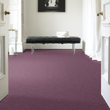STAINMASTER Essentials Intuition III 12-ft Lavender Textured Carpet Sample (Interior)