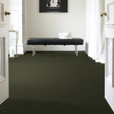 STAINMASTER Essentials Intuition II 15-ft Passion Vine Textured Indoor Carpet