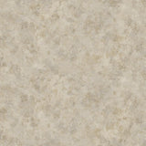 Congoleum ArmorCore LC Ethereal 12-ft W Cut-to-Length Pale Moon Stone-Look Low-Gloss Sheet Vinyl Flooring
