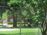 7-ft H x 2-in W Silver Galvanized Steel Line Fence Post