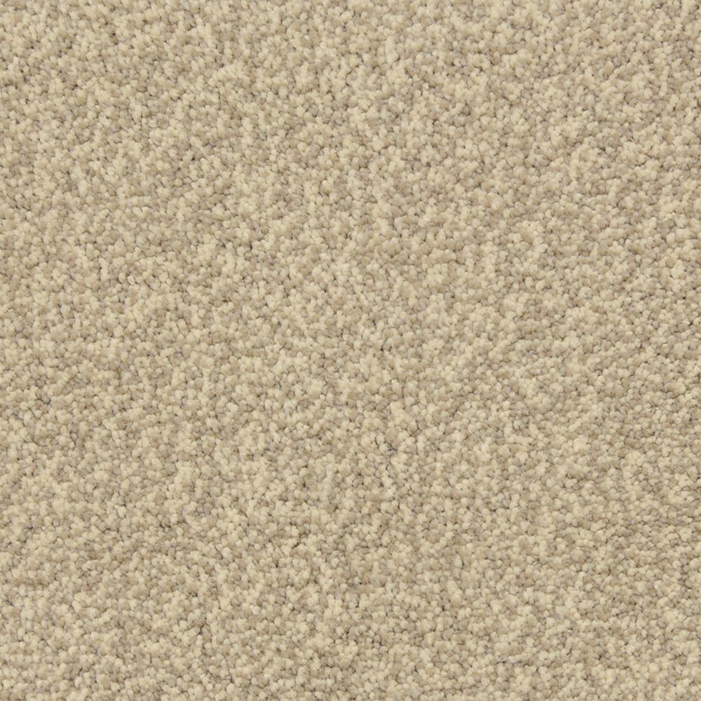 STAINMASTER PetProtect Entranced Cobblestone Textured Carpet Sample (Interior)