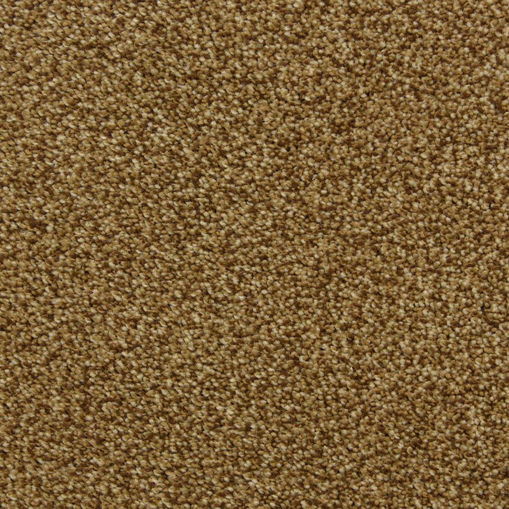 STAINMASTER PetProtect Hypnotized Brownstone Textured Carpet Sample (Interior) – 8 in x 8 in