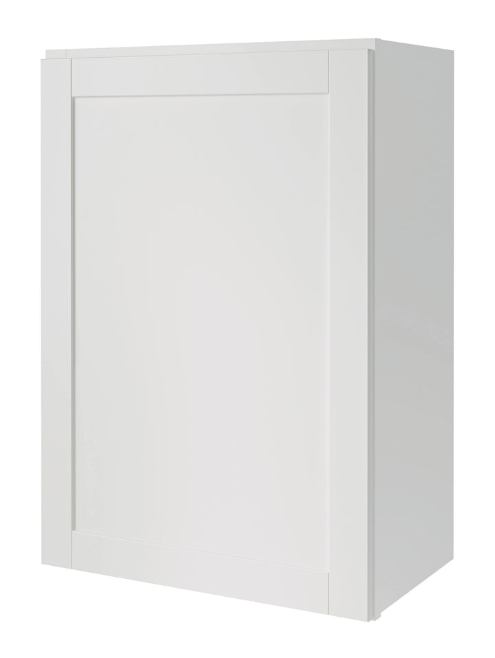 Diamond NOW Arcadia 24-in W x 30-in H x 12-in D White Wall Fully Assembled Cabinet (Recessed Panel Shaker Door Style)