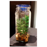 Mosser Lee 5 lbs. River Pebbles in Storage Jar - Super Arbor