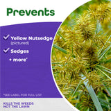 Bonide Sedge Ender Nutsedge Killer Concentrate, 16 oz (Pint)