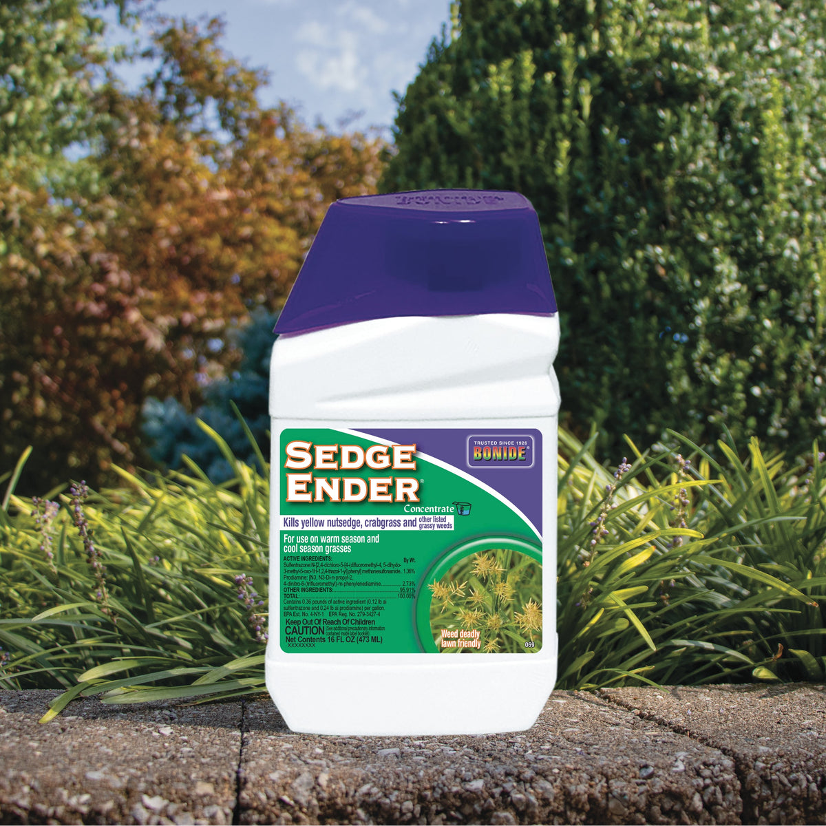 Bonide Sedge Ender Nutsedge Killer Concentrate, 16 oz (Pint)