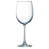 Cachet 19 oz. Tulip Party Pack (Set of 12)