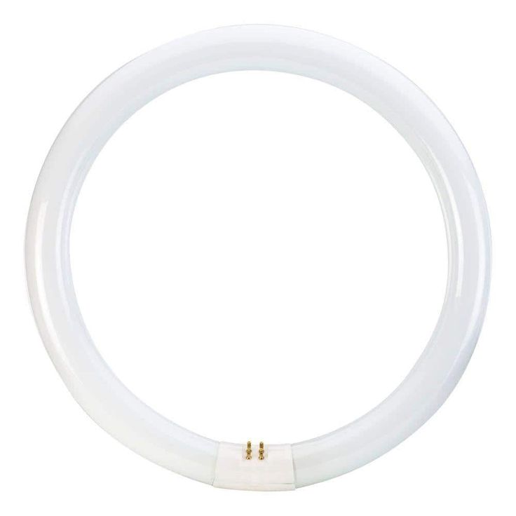 Philips 32-Watt 12 in. T9 Circline Linear Fluorescent Tube Light Bulb, Daylight Deluxe (6500K)