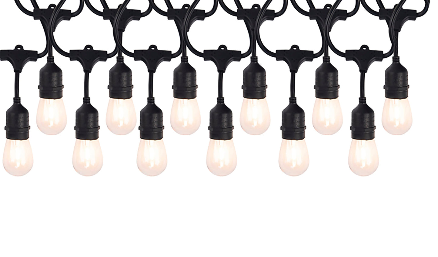 Portfolio 24-ft 12-Light Plug-In LED Edison Bulbs String Lights (Black)