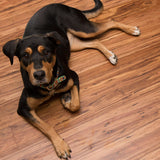 Cali Bamboo Fossilized 5-in Mocha Eucalyptus Smooth/Traditional Solid Hardwood Flooring (27.3-sq ft)