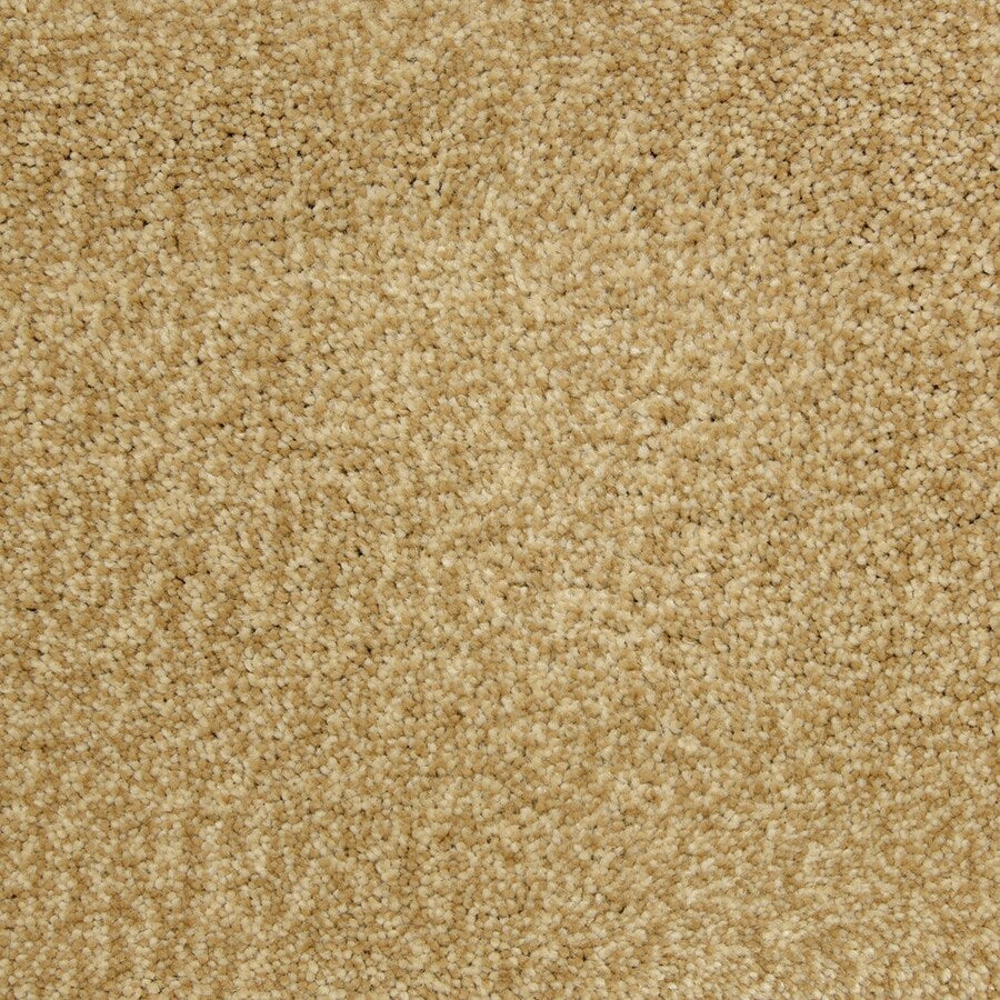 STAINMASTER PetProtect Magnetic Heirloom Textured Carpet Sample, 6-in x 6-in (Interior)