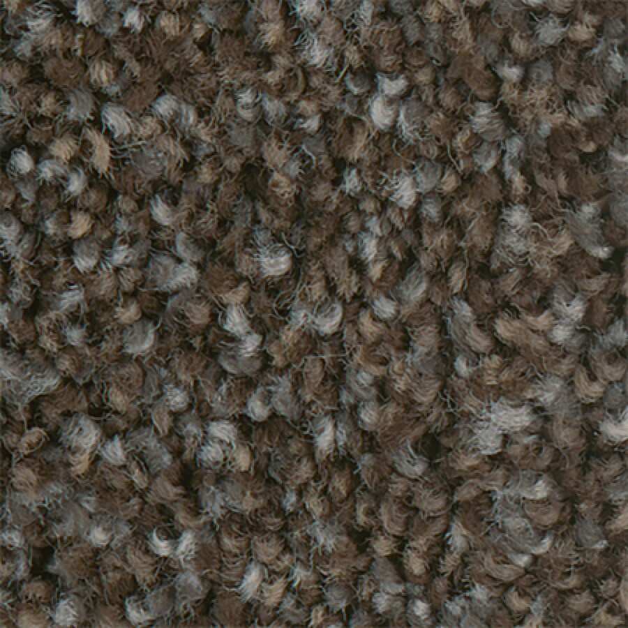 STAINMASTER PetProtect Mineral Bay II Dockside Textured Carpet Sample, 6-in x 6-in (Interior)