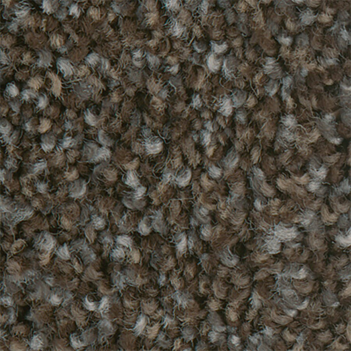 STAINMASTER PetProtect Mineral Bay II Dockside Textured Carpet Sample, 6-in x 6-in (Interior)