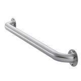 Project Source Exposed Screw 24-in Stainless Steel Wall Mount ADA-Compliant Grab Bar, 500-lb Capacity