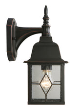 Portfolio Litshire 13.5-in H Oil-Rubbed Bronze Outdoor Wall Lantern, Medium Base (E26)