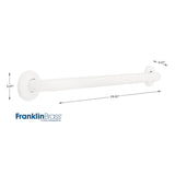 Franklin Brass 5700 Series 24-in Bright Stainless Steel Wall Mount (ADA Compliant) Grab Bar - Super Arbor